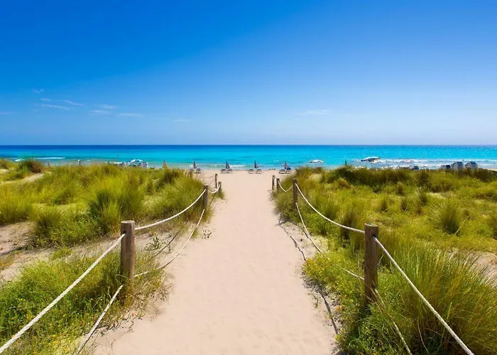 Preciosos Reformados En