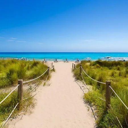 Preciosos Reformados En